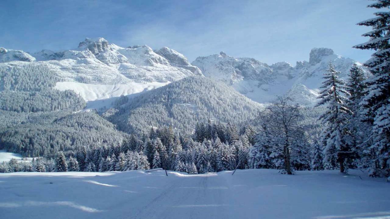 Berg Chalet Annaberg im Lammertal Eksteriør bilde