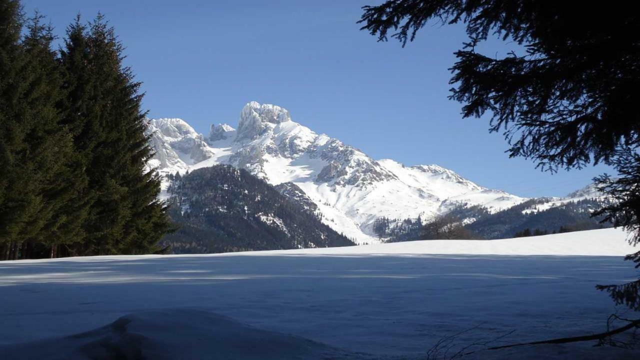 Berg Chalet Annaberg im Lammertal Eksteriør bilde